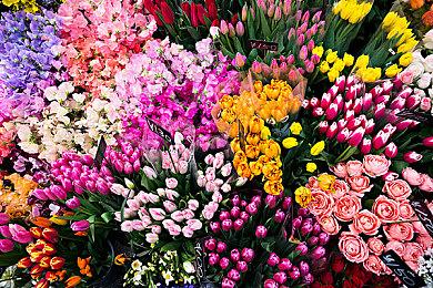 《丝之歌》官方称将于8月21日发布重大消息