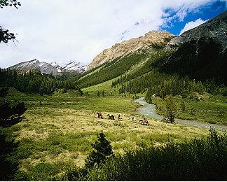 《风暴崛起》Steam特别好评 官方承诺补偿豪华版玩家